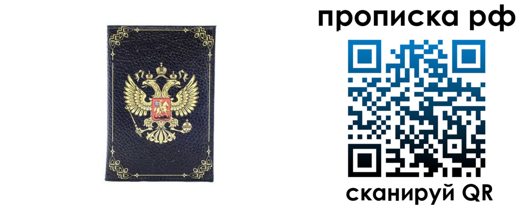 прописка штамп в Балтийске